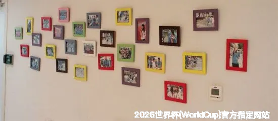 核心团队与专业资质